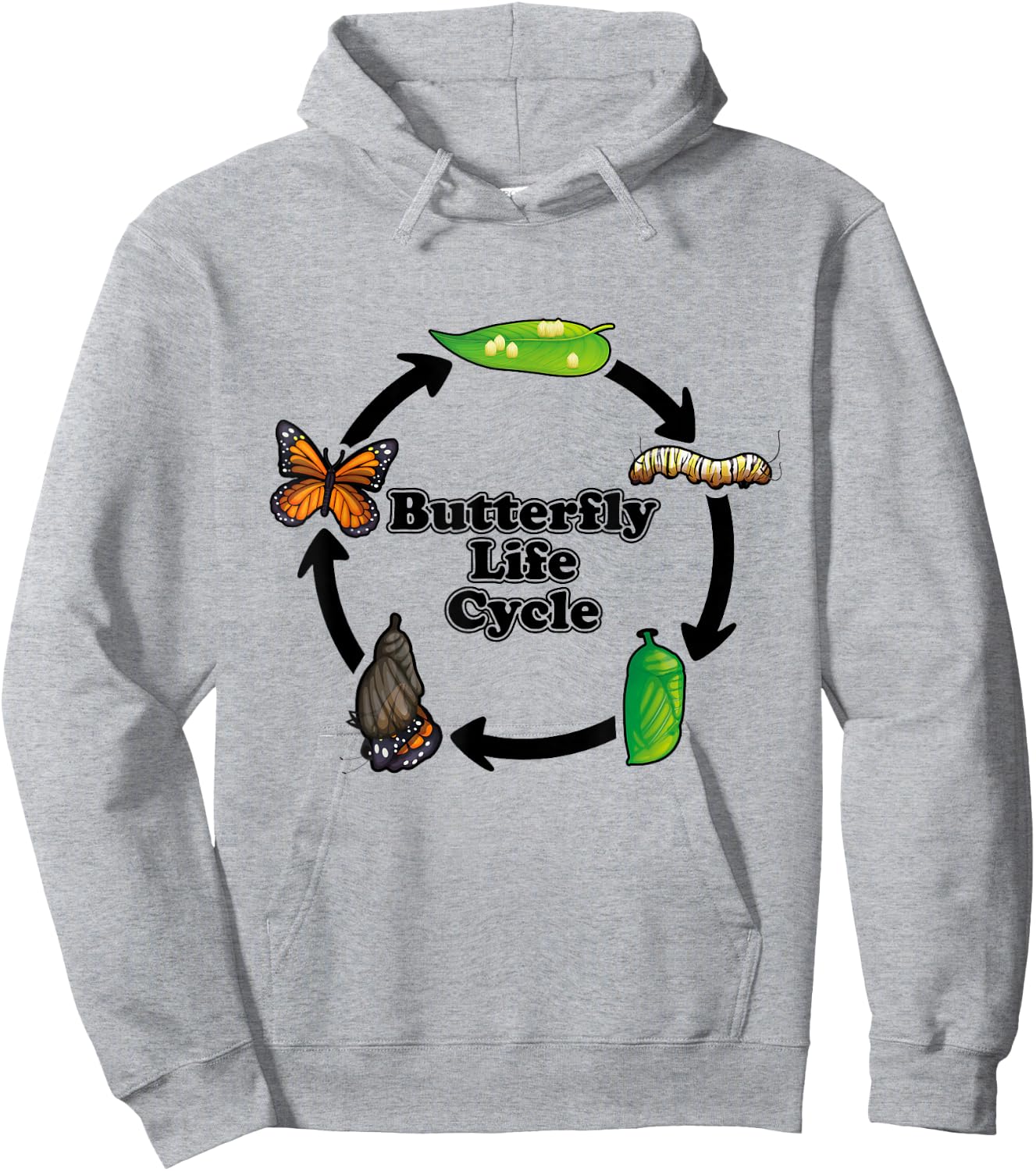 Monarch Butterfly Life Cycle Educational Science Hoodie - Hoodie | Ash