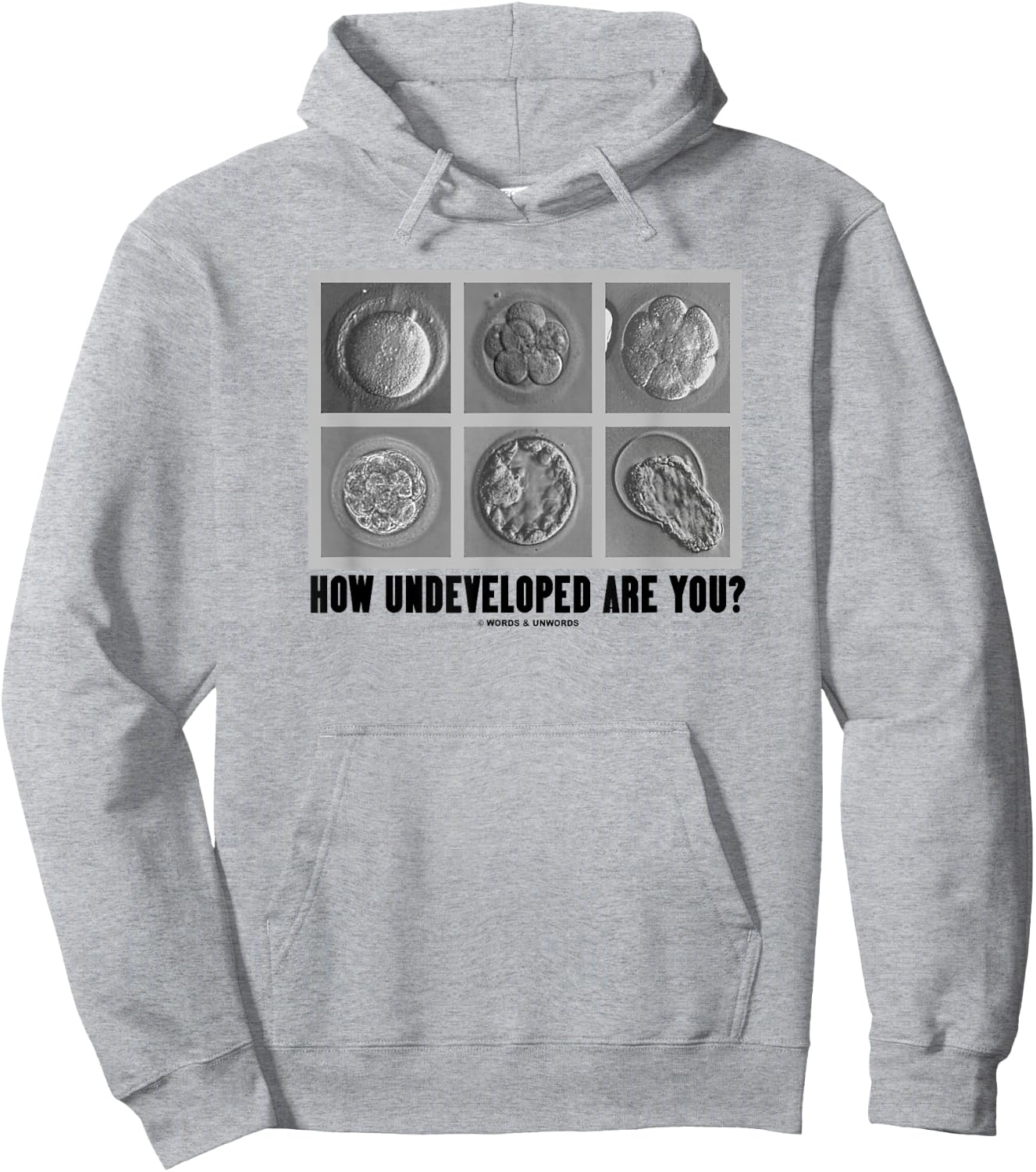 How Undeveloped Are You? Embryos Zygotes Embryology Humor Hoodie - Hoodie | Ash