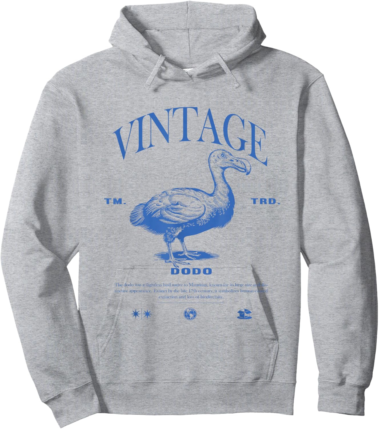 Dodo Vintage Hoodie - Hoodie | Ash