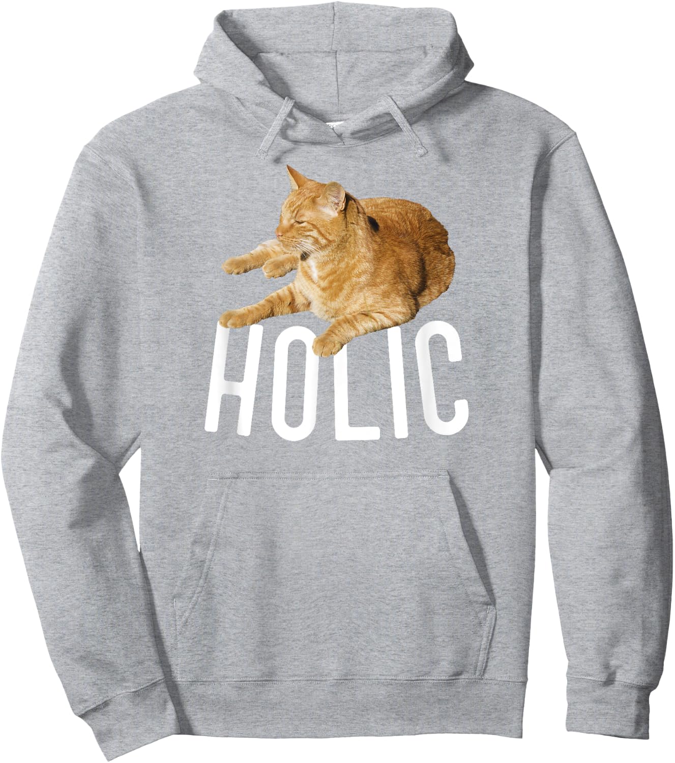 CATholic Tabby Orange Cat Lover Men Women Kids Hoodie - Hoodie | Ash