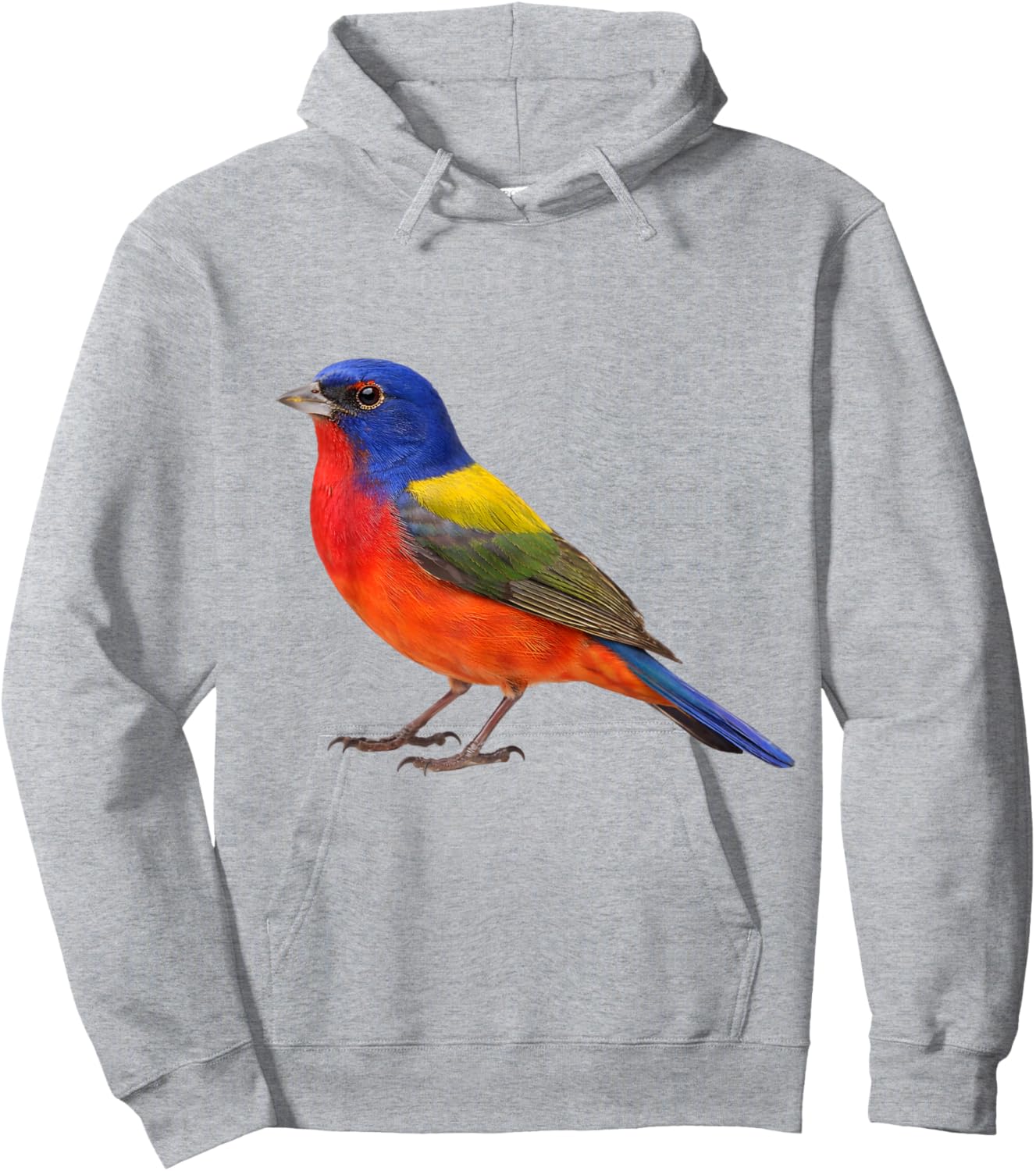 Painted Bunting Bird Aesthetic Illustration Hoodie - Hoodie | Ash