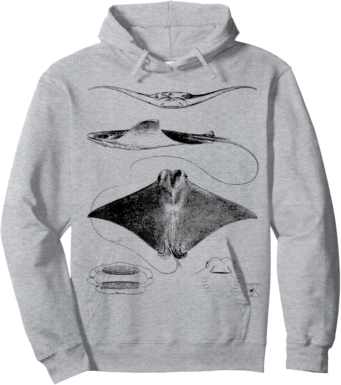 Stingray Anatomy | Sharks Rays Oceanography Sea Life Hoodie - Hoodie | Ash