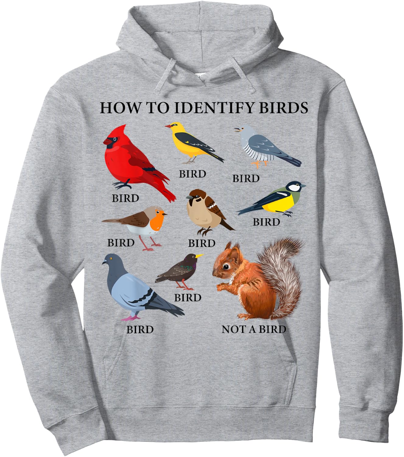 How to Identify Birds Funny Birds Identification Birdwatcher Hoodie - Hoodie | Ash
