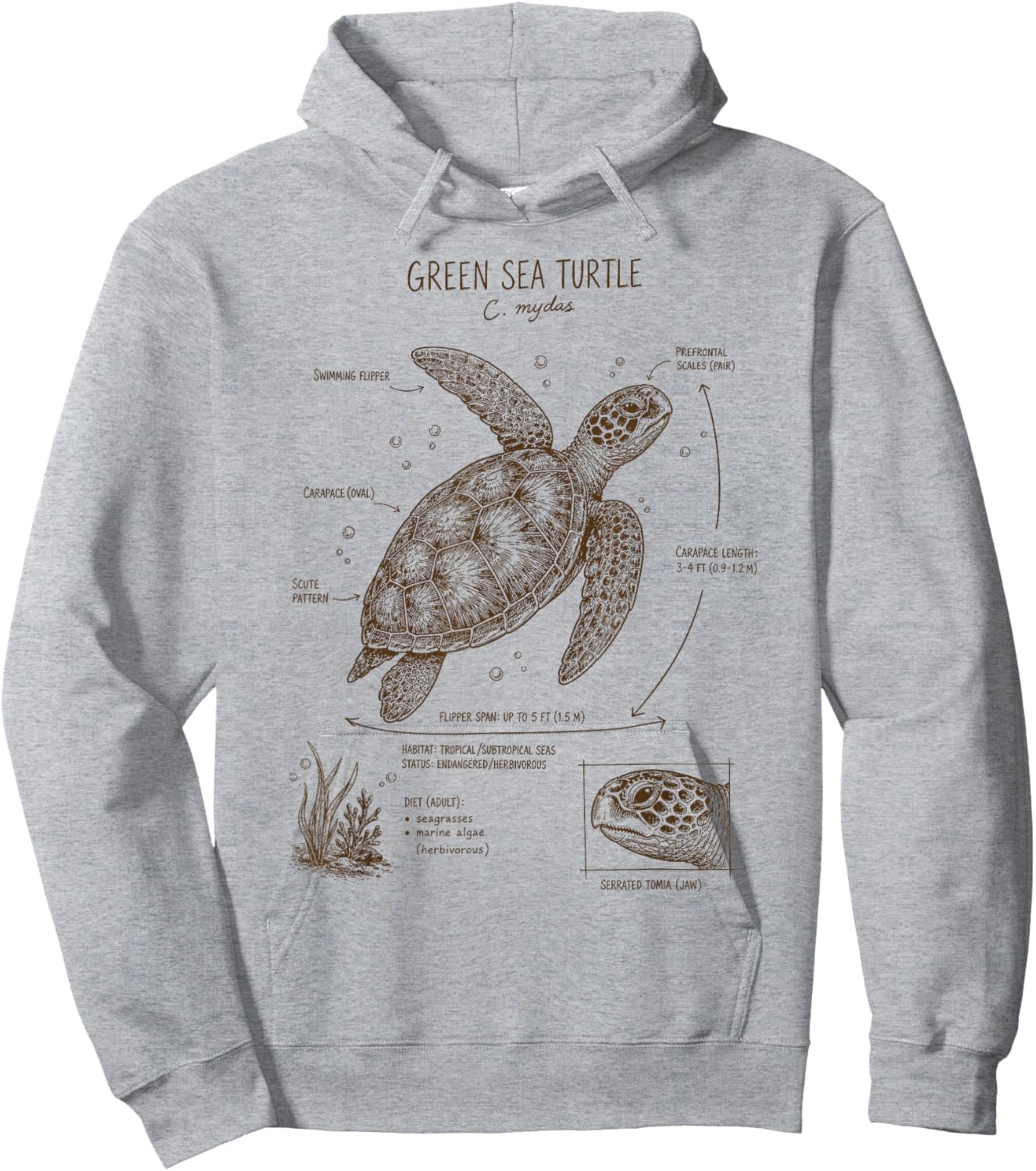 Green Sea Turtle Anatomy Ocean Sea Animal Wildlife Biology Hoodie - Hoodie | Ash