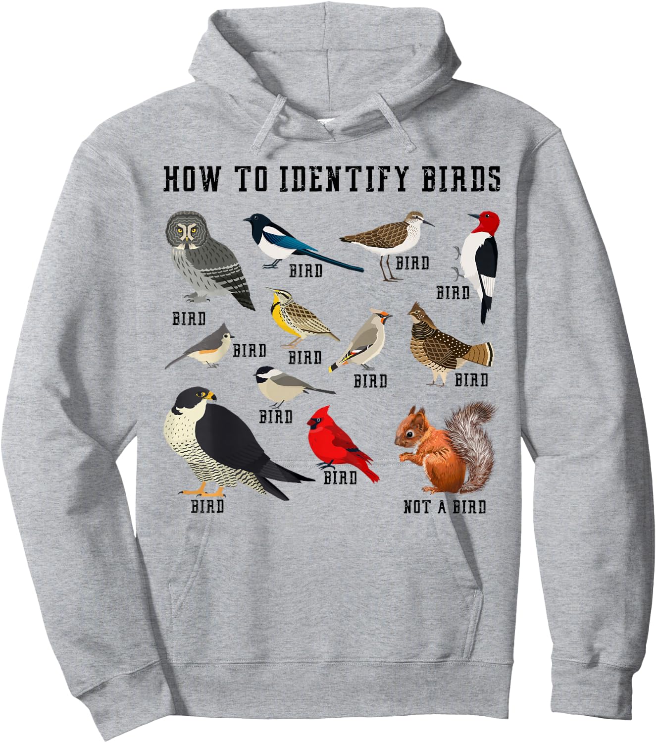 How to Identify Birds? Funny Birdwatcher for Nature Love Hoodie - Hoodie | Ash