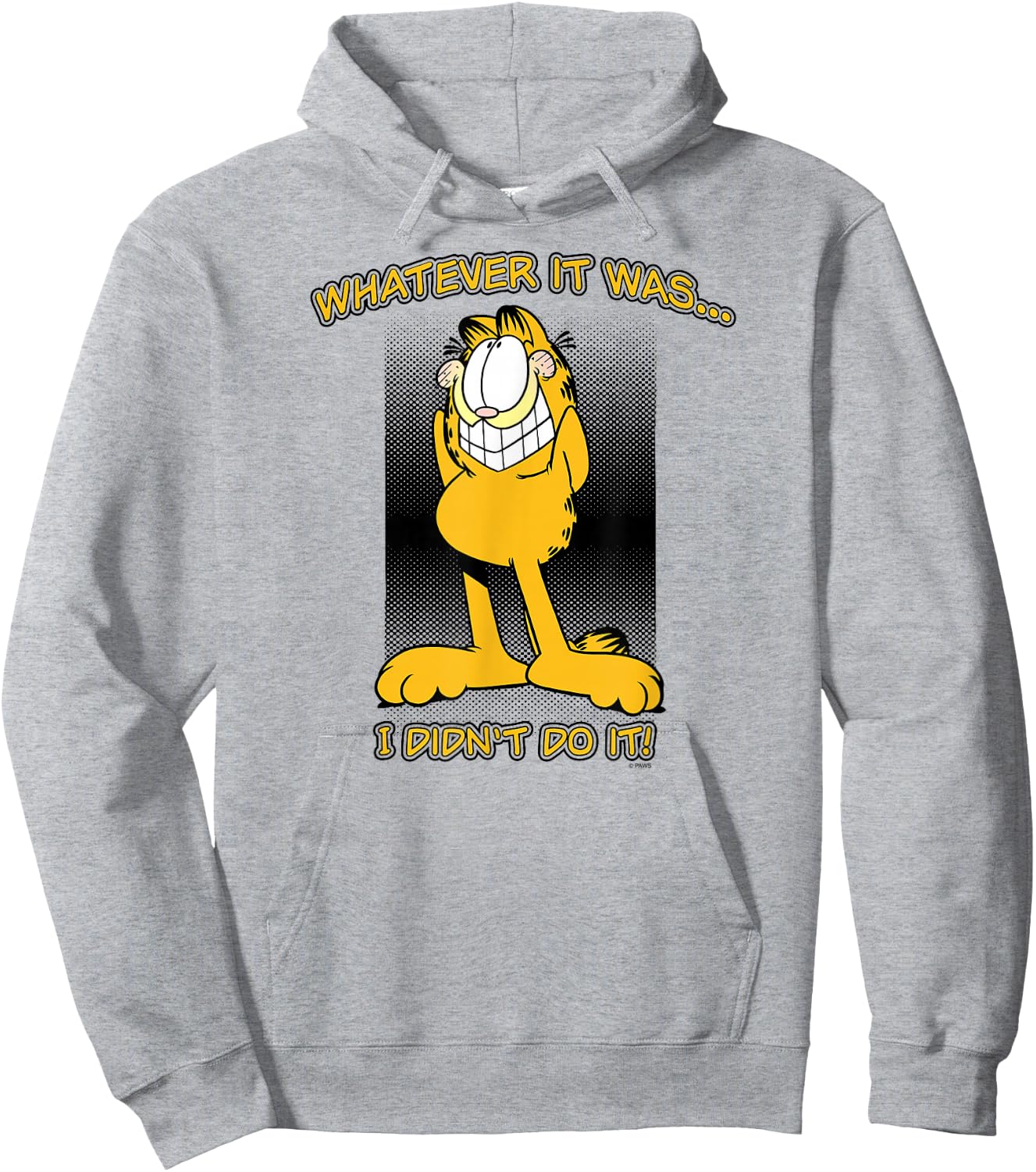 Garfield I Didn't Do It Hoodie - Hoodie | Ash