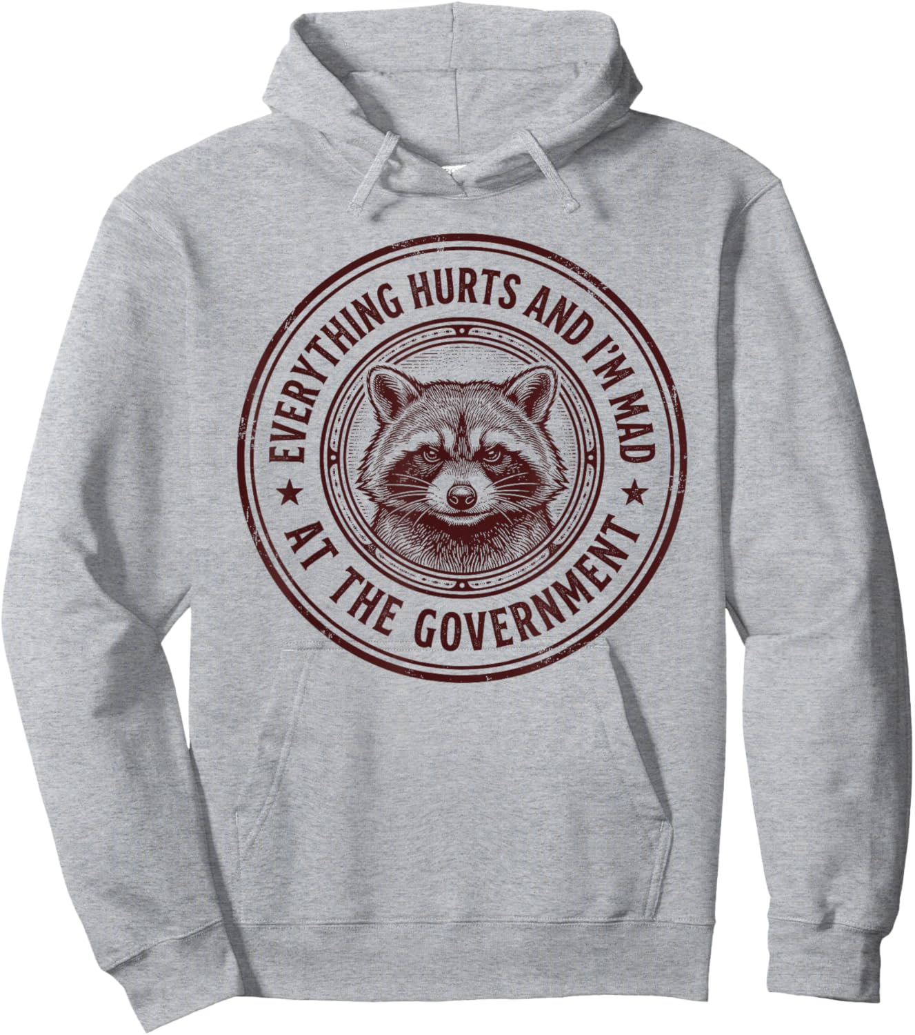 Everything Hurts and Im Mad At The Government Cynical Funny Hoodie - Hoodie | Ash