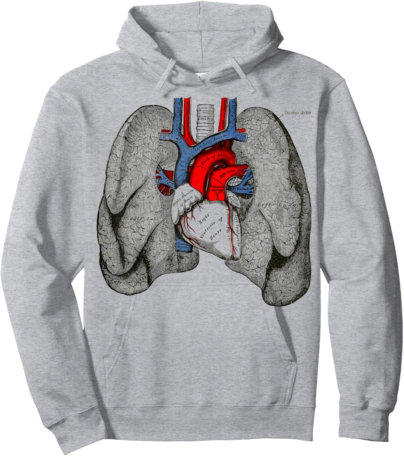 Human Heart Lungs Vintage Medical Anatomy Human Lungs Heart Hoodie - Hoodie | Ash
