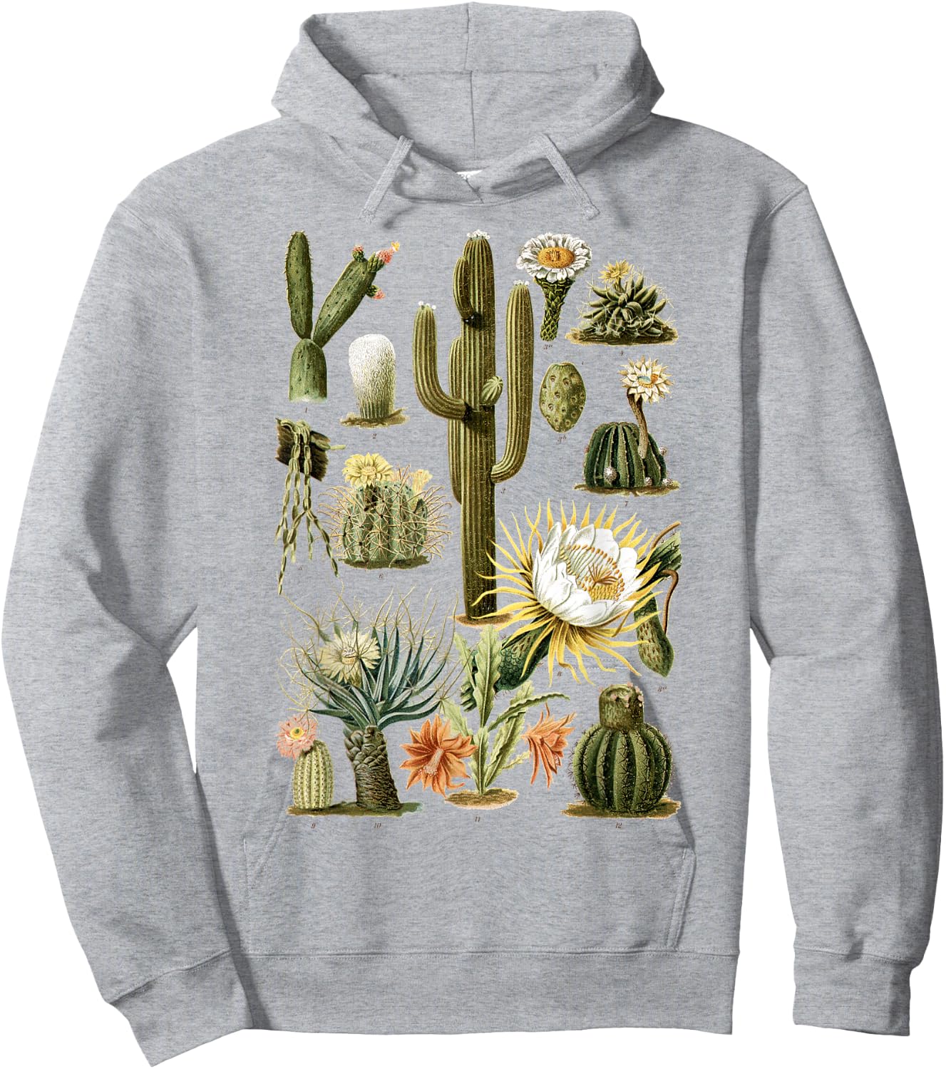 Cactus Succulent Plant Vintage Cacti Botanical Botanical Hoodie - Hoodie | Ash