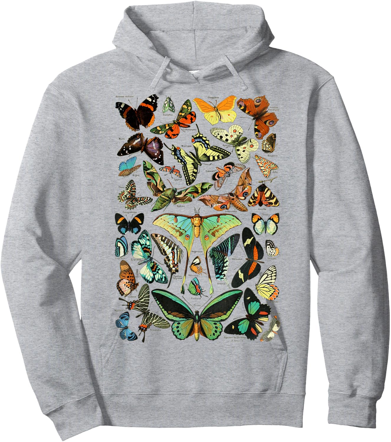 Butterflies Butterfly Collection Scientific Hoodie - Hoodie | Ash
