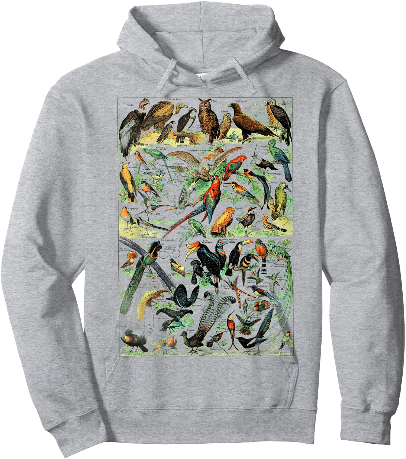 Bird Nature Birding Watcher Ornithology chart Types of birds Hoodie - Hoodie | Ash