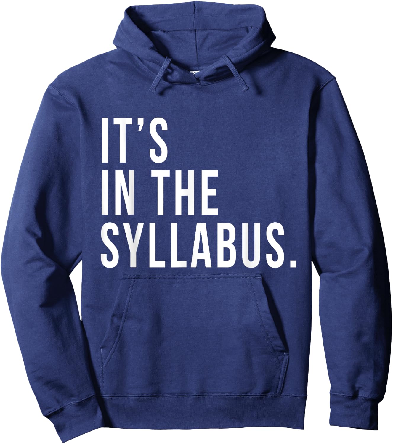 It's In The Syllabus Teacher Professor Funny Sarcasm Hoodie - Hoodie | Navy