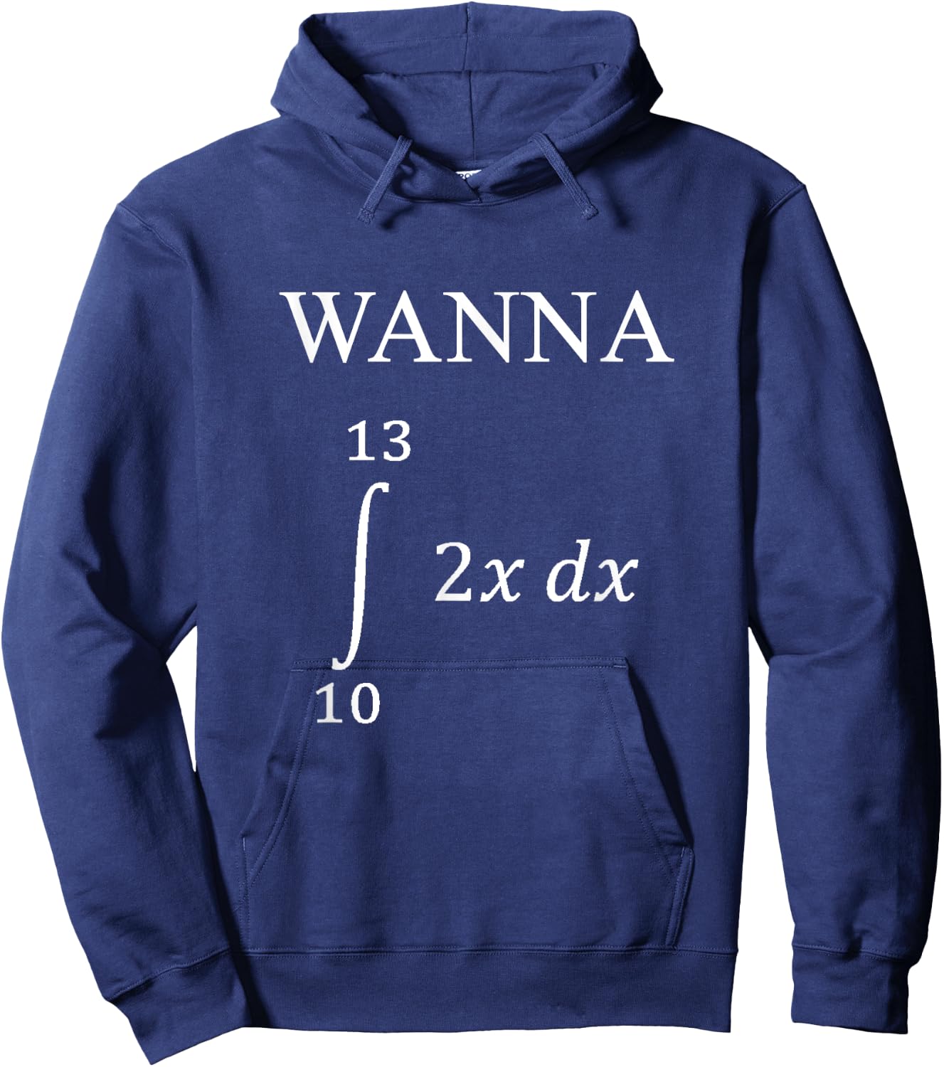 Wanna 69 Integral Differential Function Math Pun Hoodie - Hoodie | Navy