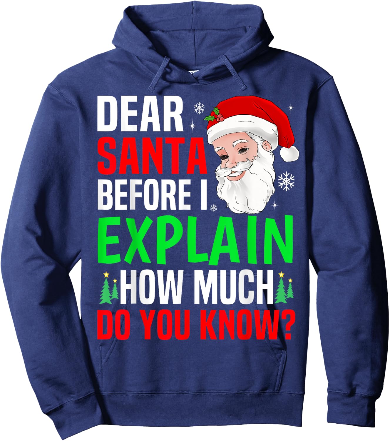 Dear Santa Before I Explain Funny Christmas Men Women Kids Hoodie - Hoodie | Navy
