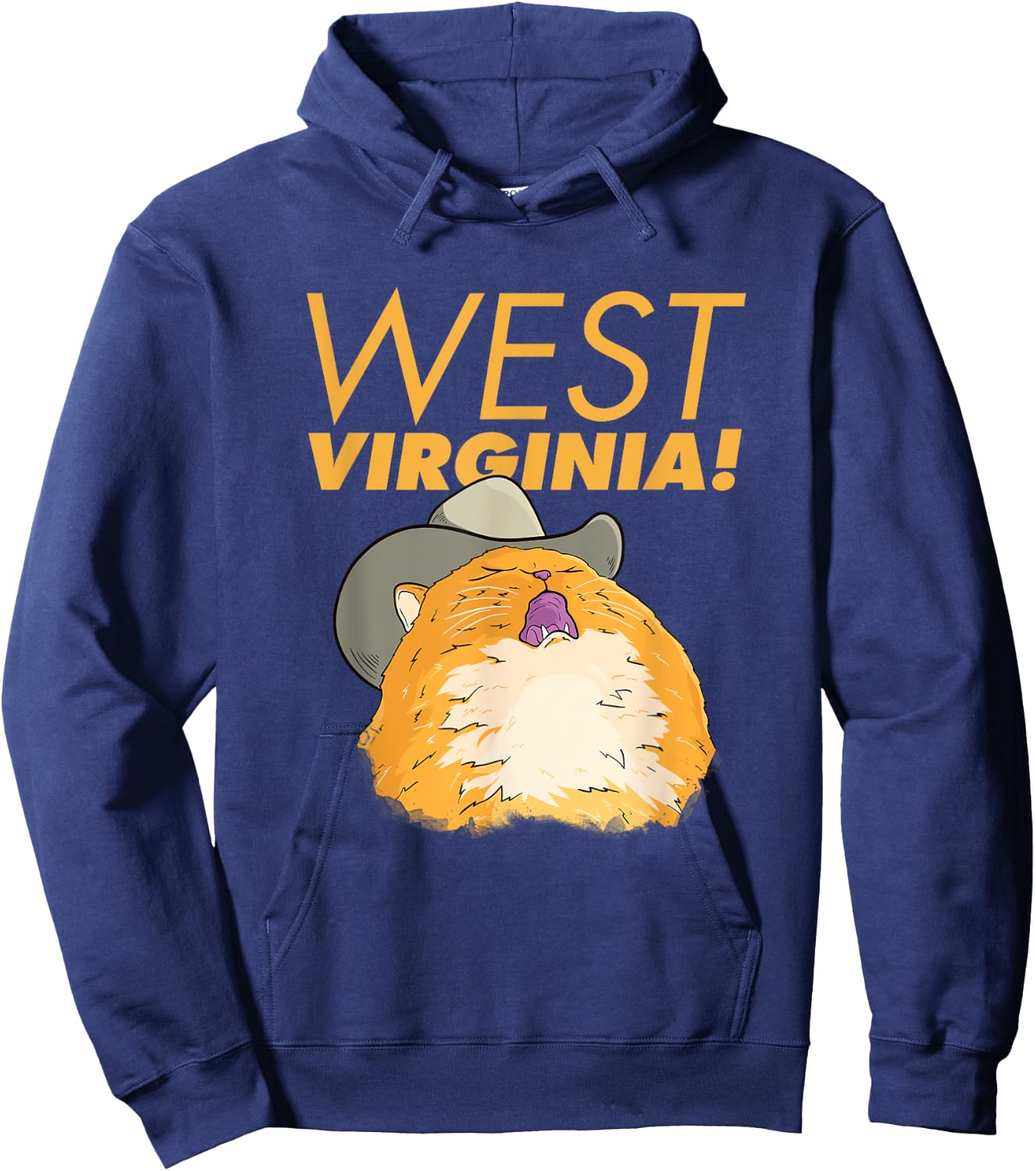Country Cat Singing Meme Men Women Kids Hoodie - Hoodie | Navy