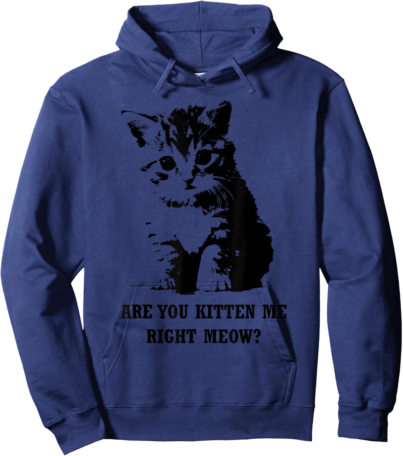 Are You Kitten Me Right Meow Hoodie - Hoodie | Navy