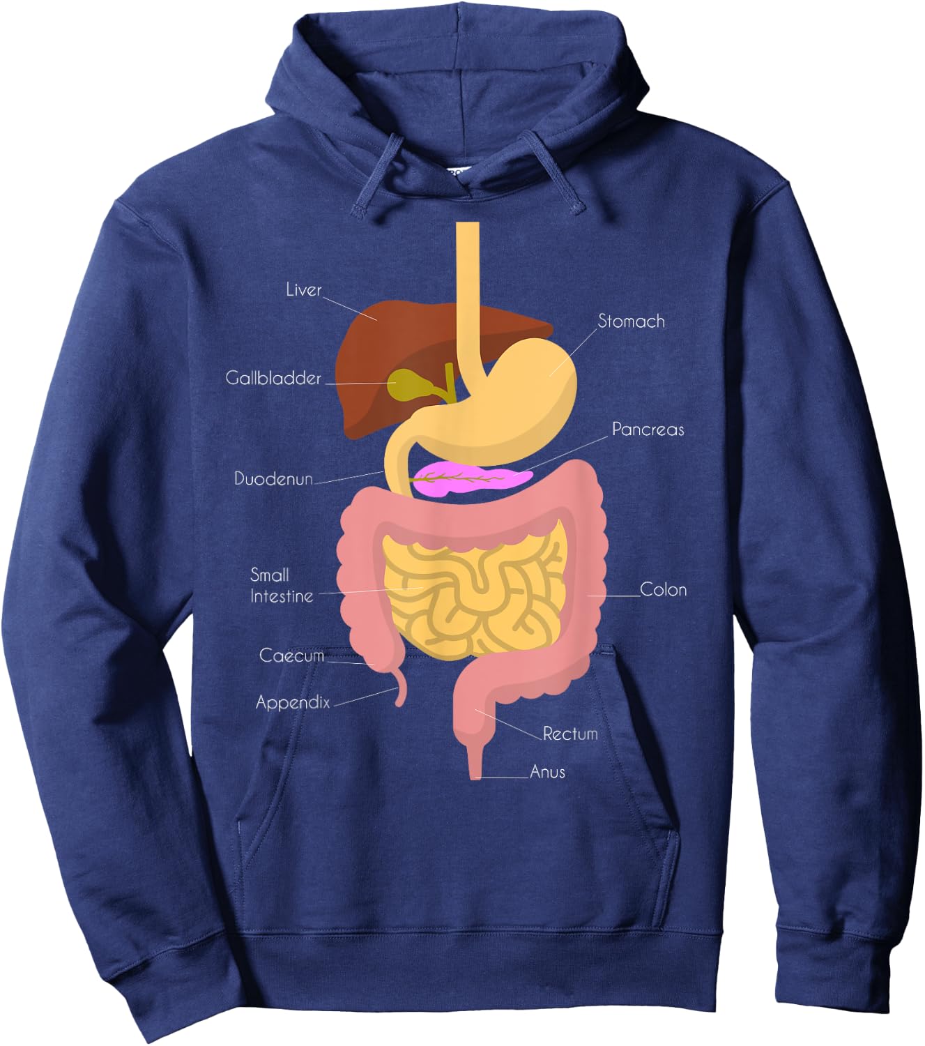 Digestive System Hoodie - Hoodie | Navy