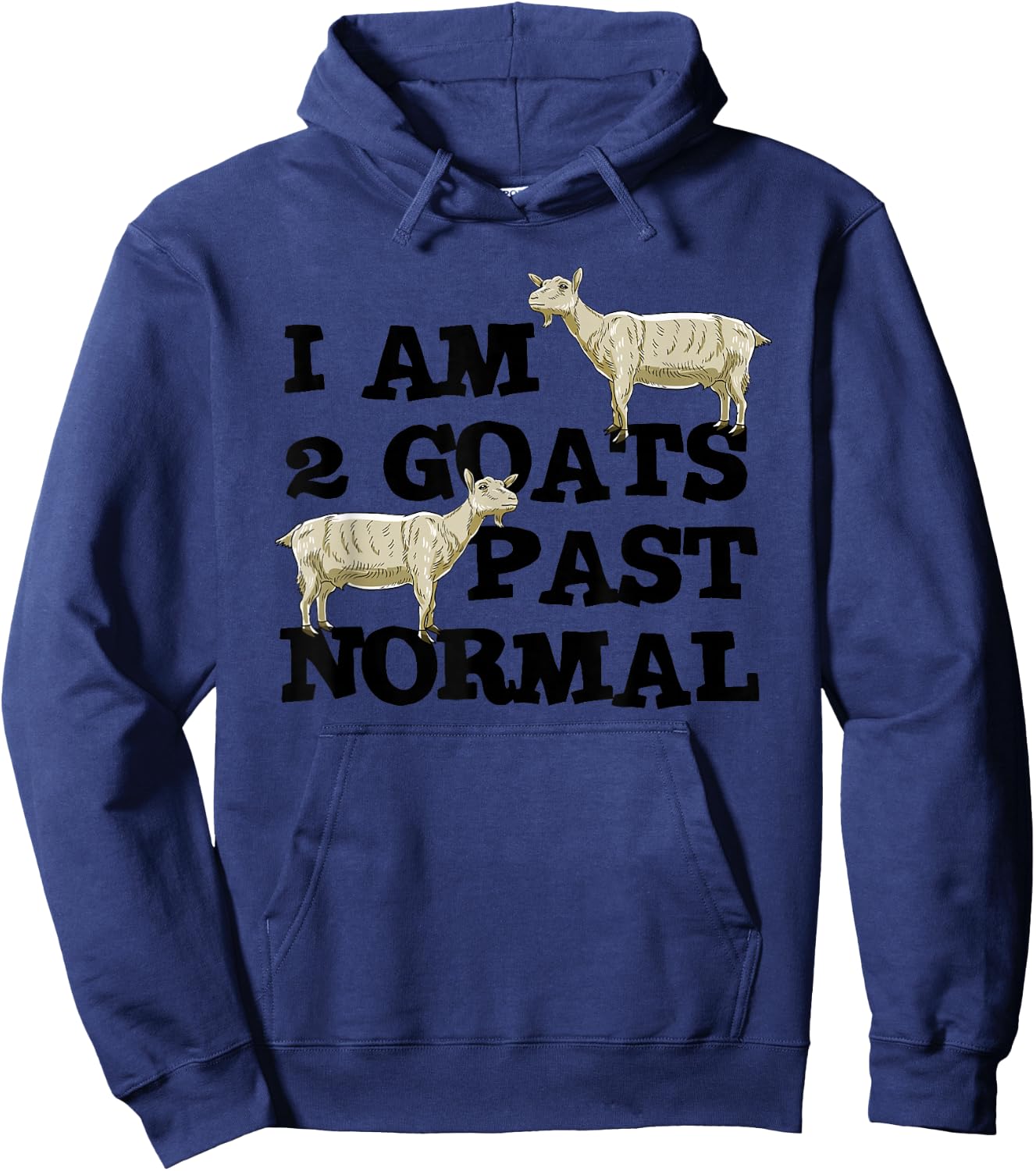 I am 2 Goats Past Normal Farm Animal Lover Farmer Gift Hoodie - Hoodie | Navy