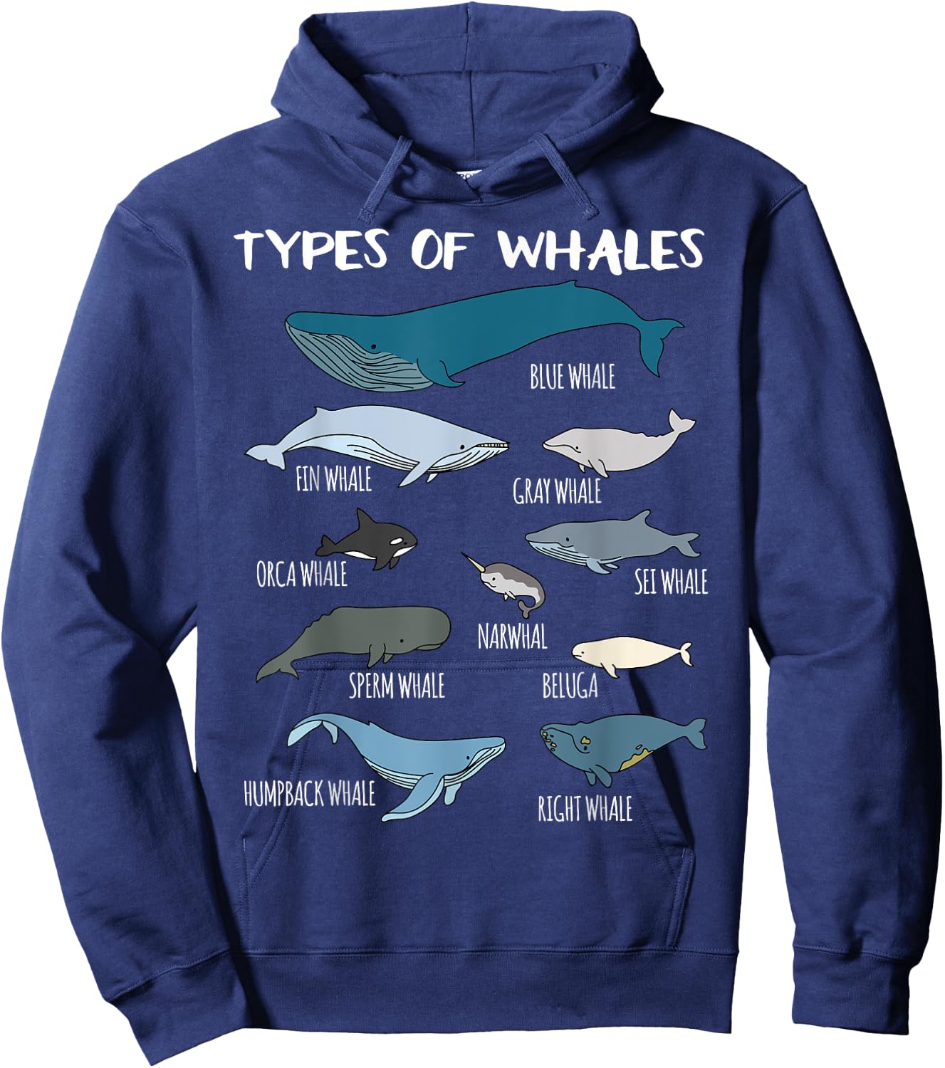Types Of Whales Cute Ocean Mammals Guide T Shirt Hoodie - Hoodie | Navy
