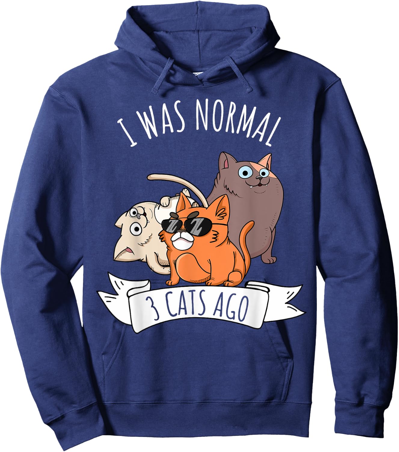 I Was Normal 3 Cats Ago Cat Mom Dad Crazy Cat Lady Hoodie - Hoodie | Navy
