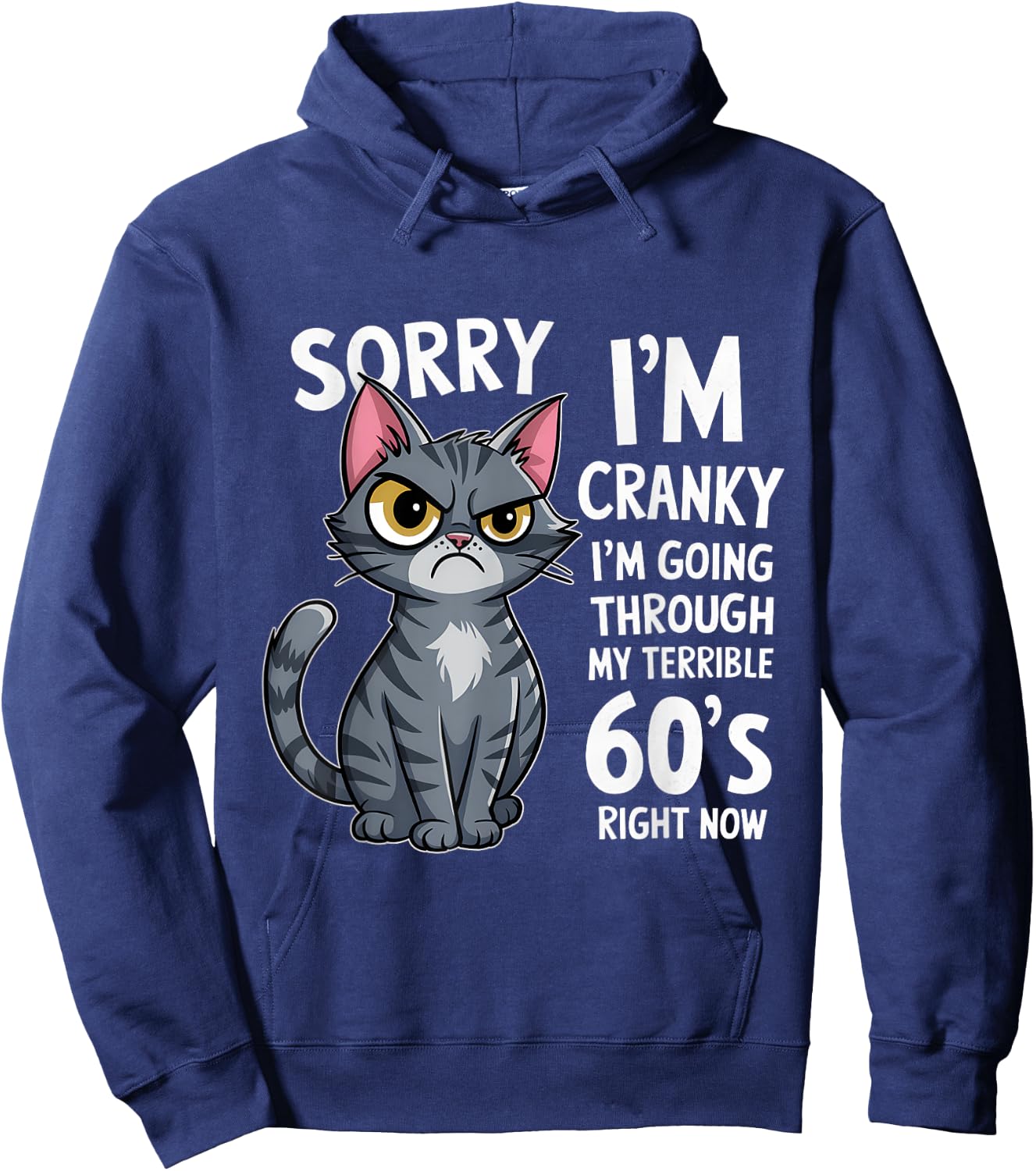 Sorry I'm Cranky I'm Going Through My Terrible 60's Fun Cat Men Women Hoodie - Hoodie | Navy