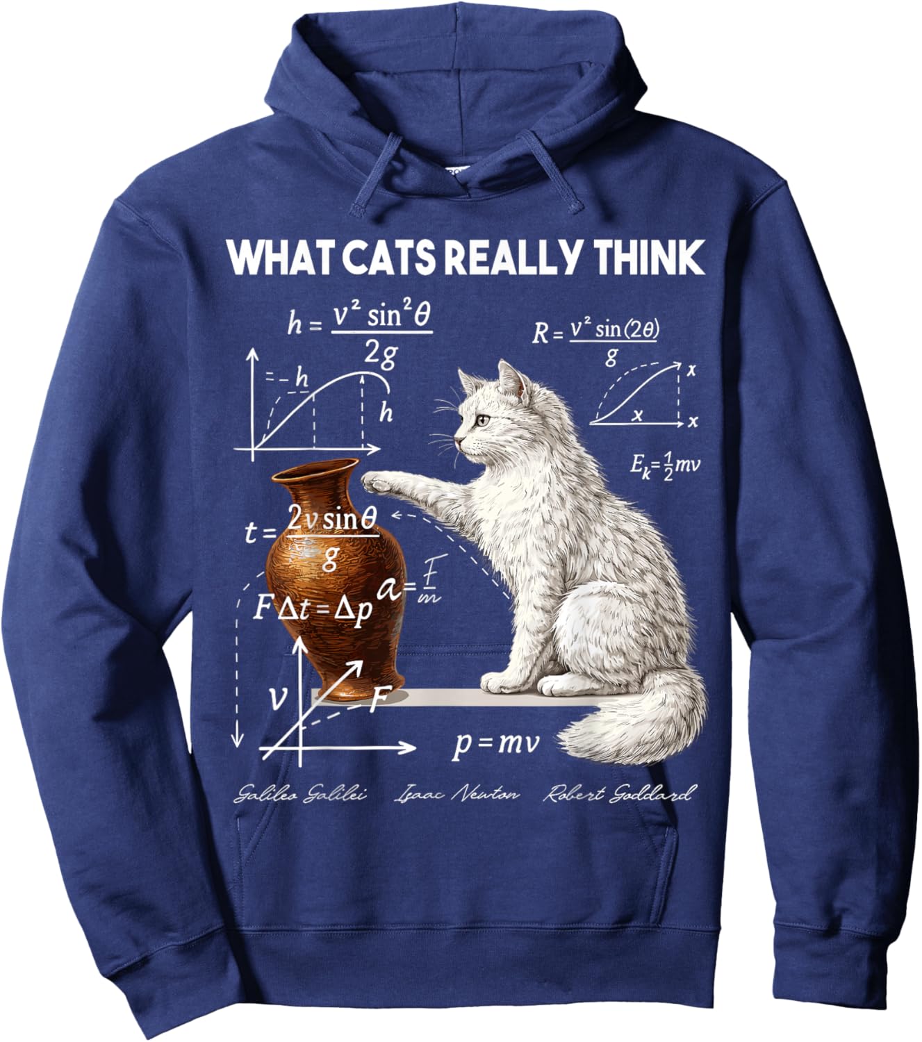 Funny Physics What Cats Really Think Math Humor Hoodie - Hoodie | Navy
