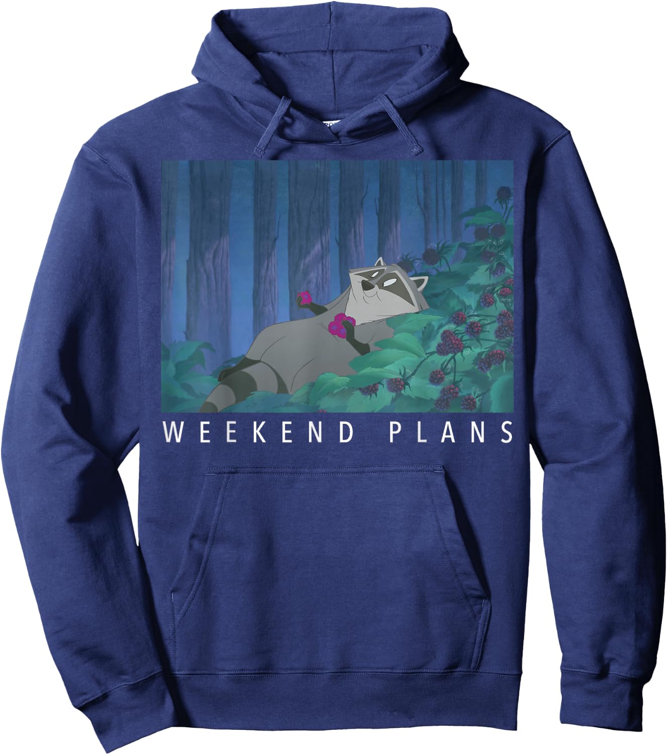 Disney Pocahontas Meeko Weekend Plans Hoodie - Hoodie | Navy