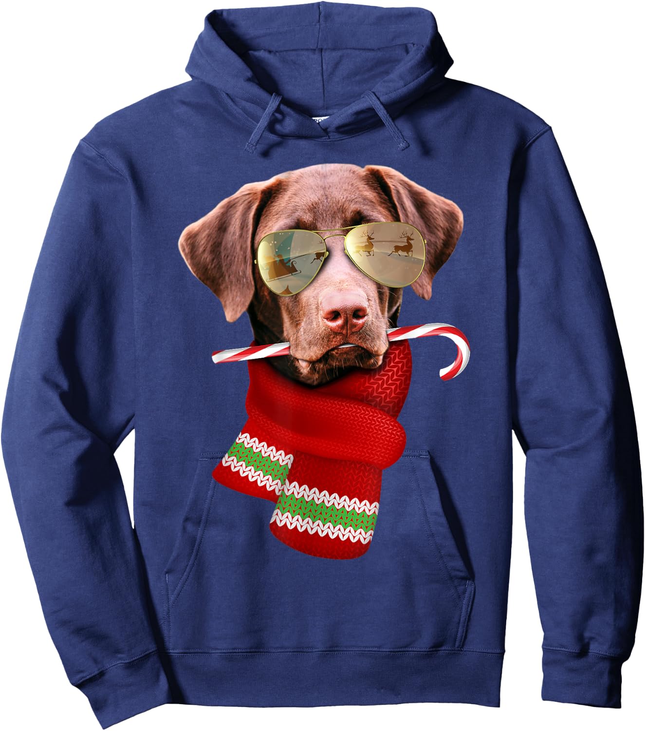 Chocolate Labrador Christmas Gift Dog Lovers Sunglasses Men Women Kids Hoodie - Hoodie | Navy