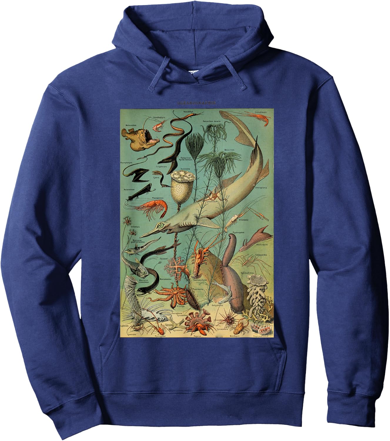 Vintage Inspired Ocean Sealife Chart Hoodie - Hoodie | Navy