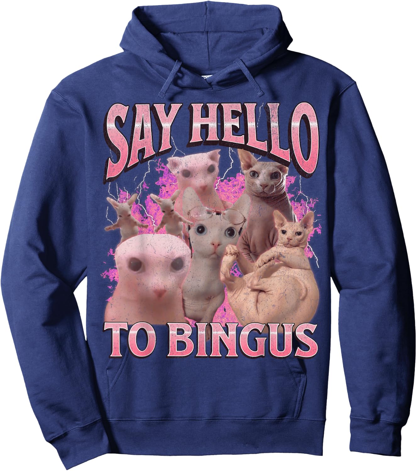 Say Hello To Bingus Funny Sphinx Cat Meme Bootleg Graphic Hoodie - Hoodie | Navy