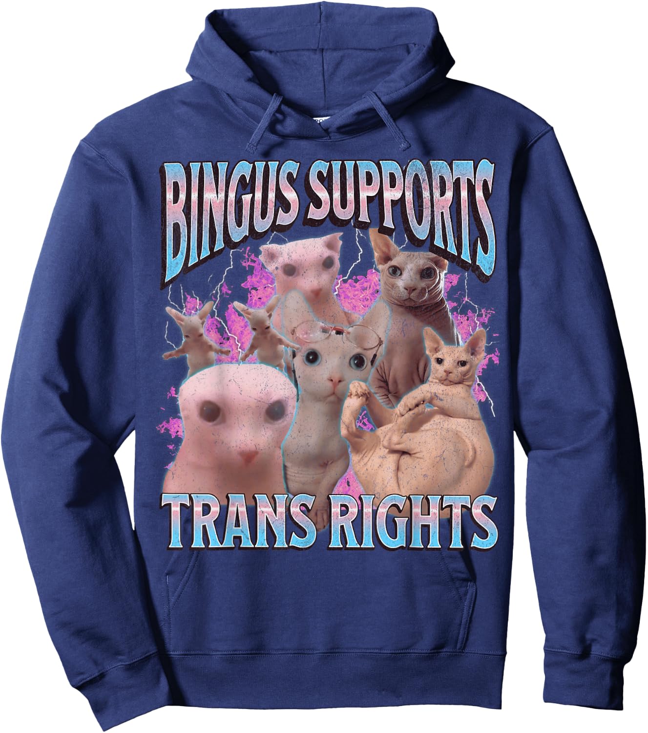 Bingus Supports Trans Rights Funny Sphinx Cat Meme Bootleg Men Women Hoodie - Hoodie | Navy