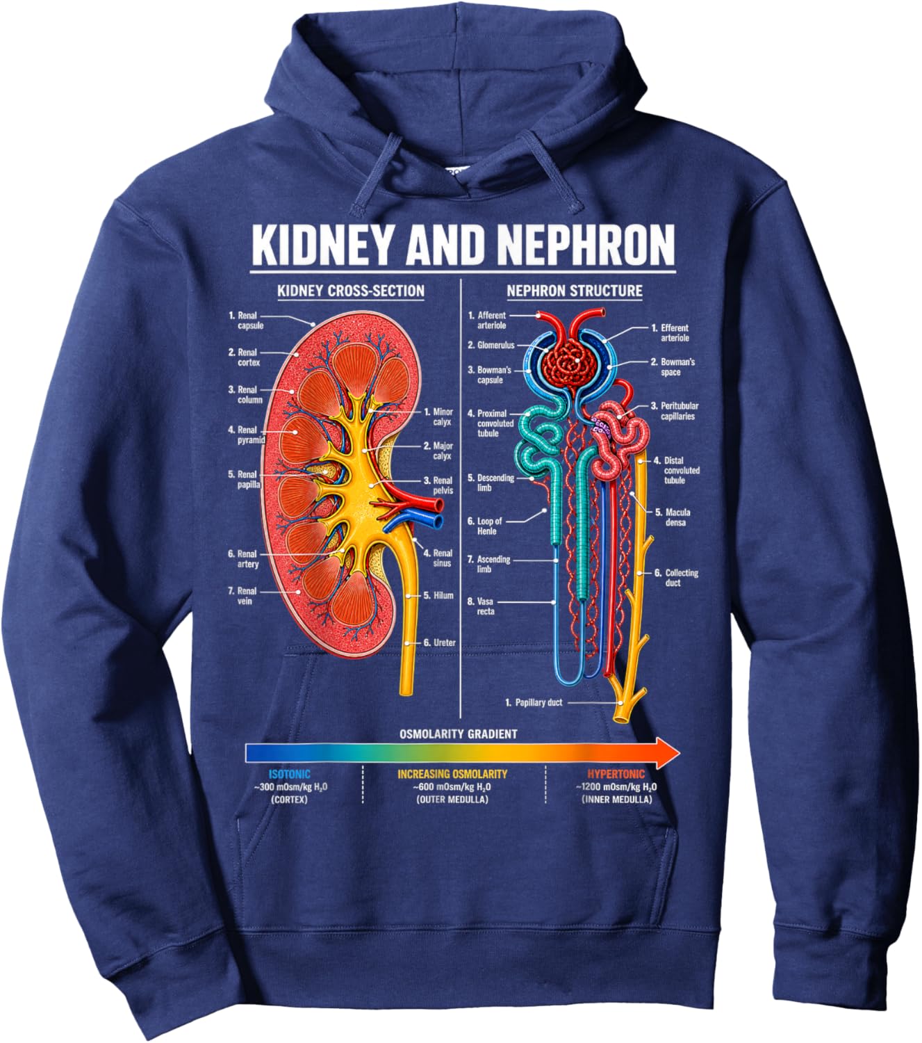Kidney and Nephron Anatomy Biology Science Gifts Men Women Hoodie - Hoodie | Navy