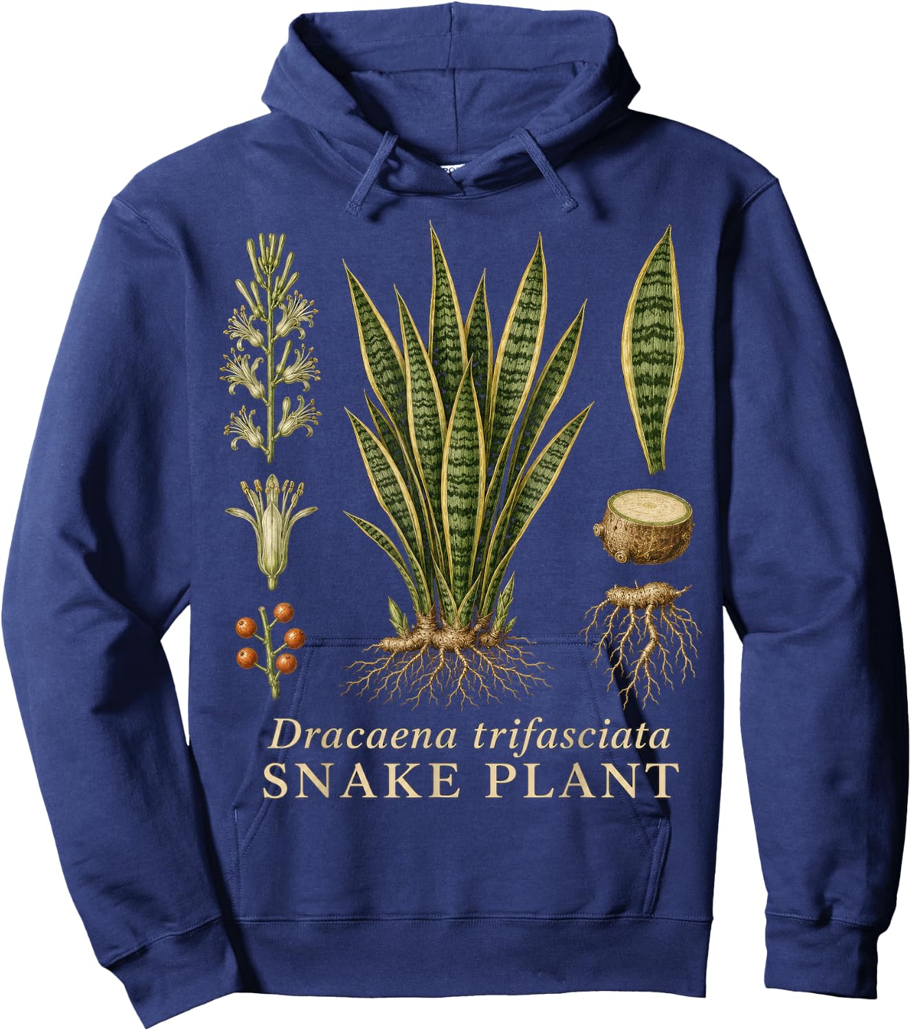 Snake Plant Botanical Anatomy Diagram Vintage Style Hoodie - Hoodie | Navy