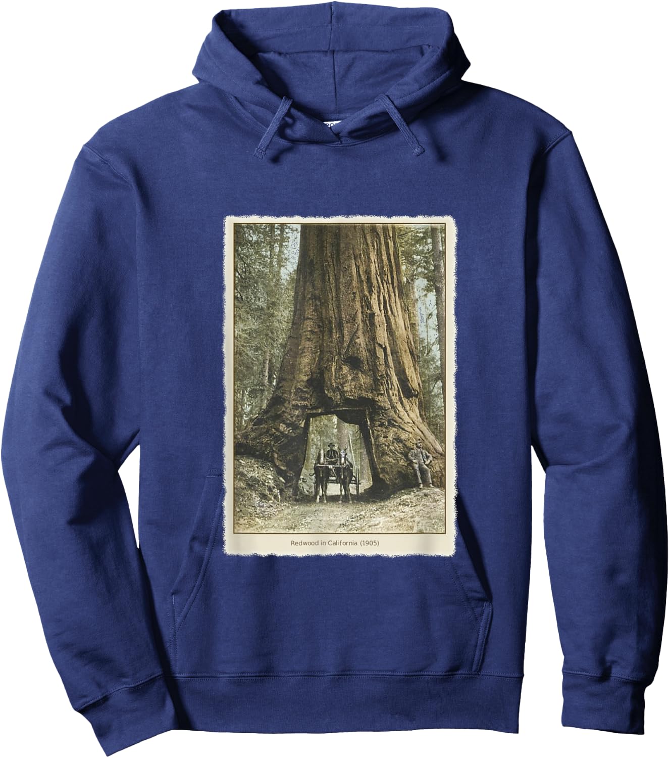 Vintage Redwood Forest T Shirt, California Redwoods Trees Hoodie - Hoodie | Navy