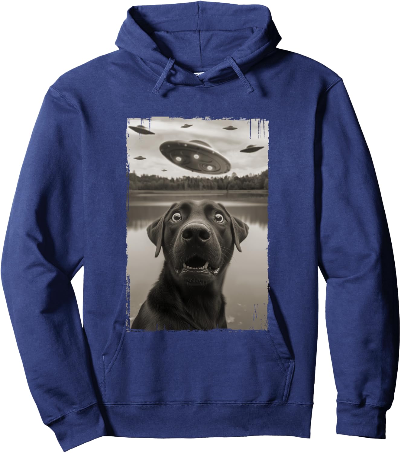 Classic Funny UFO and Labrador Retriever Selfie Hoodie - Hoodie | Navy