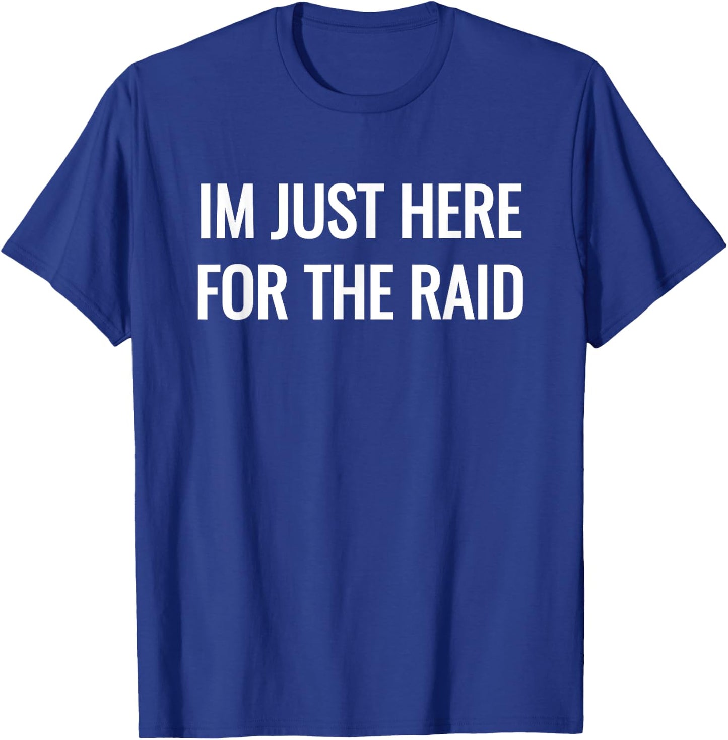 Gamer im just here for the raid destiny T-Shirt - T-Shirt | Royal