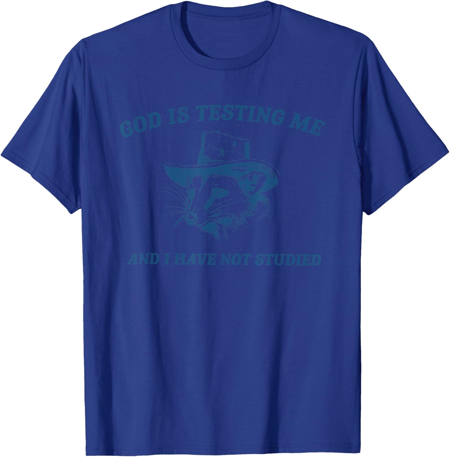 Raccoon God Is Testing Me And I Have Not Studied T-Shirt - T-Shirt | Royal