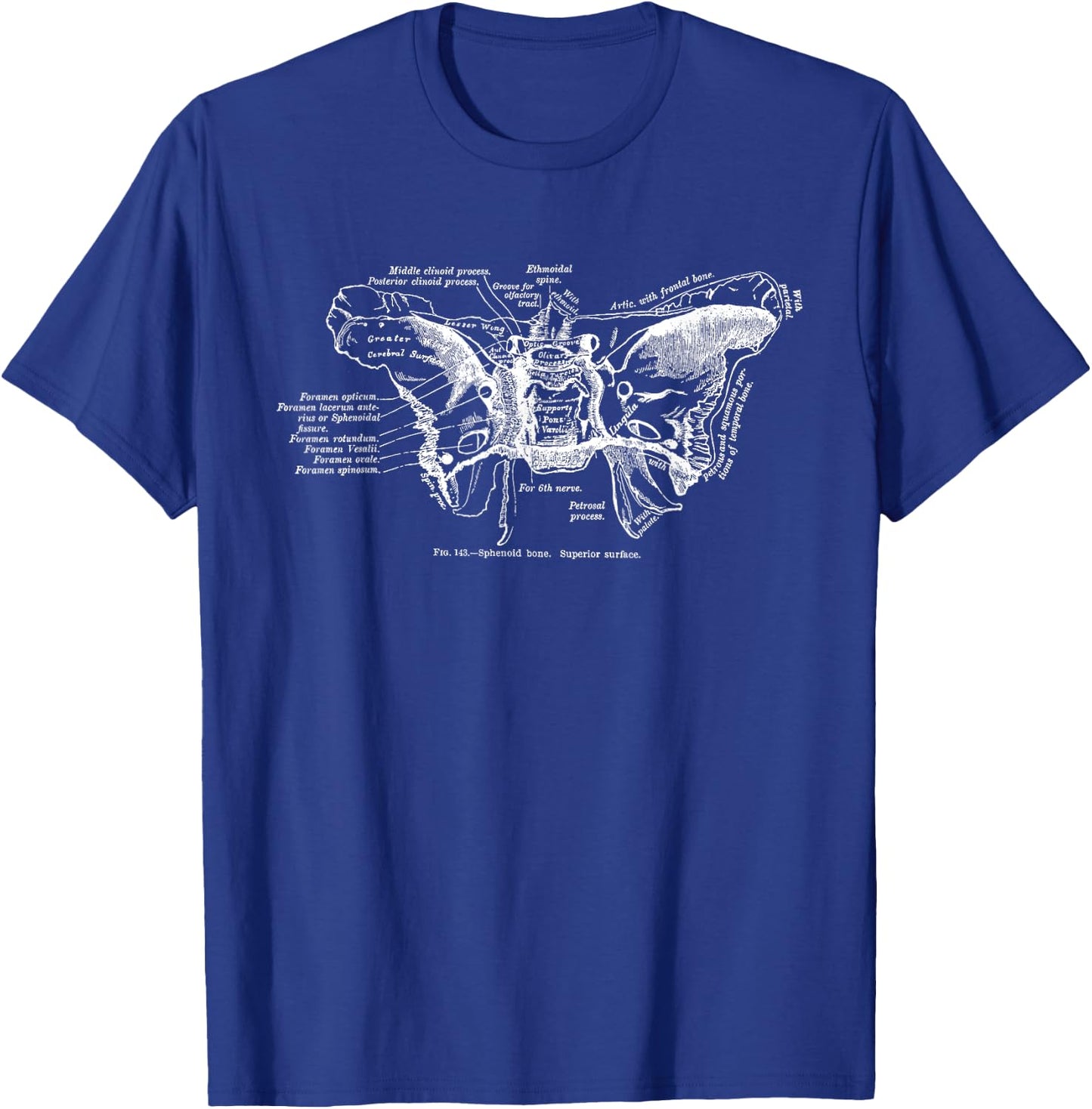 Cranium Sphenoid Bone Anatomy T-Shirt - T-Shirt | Royal