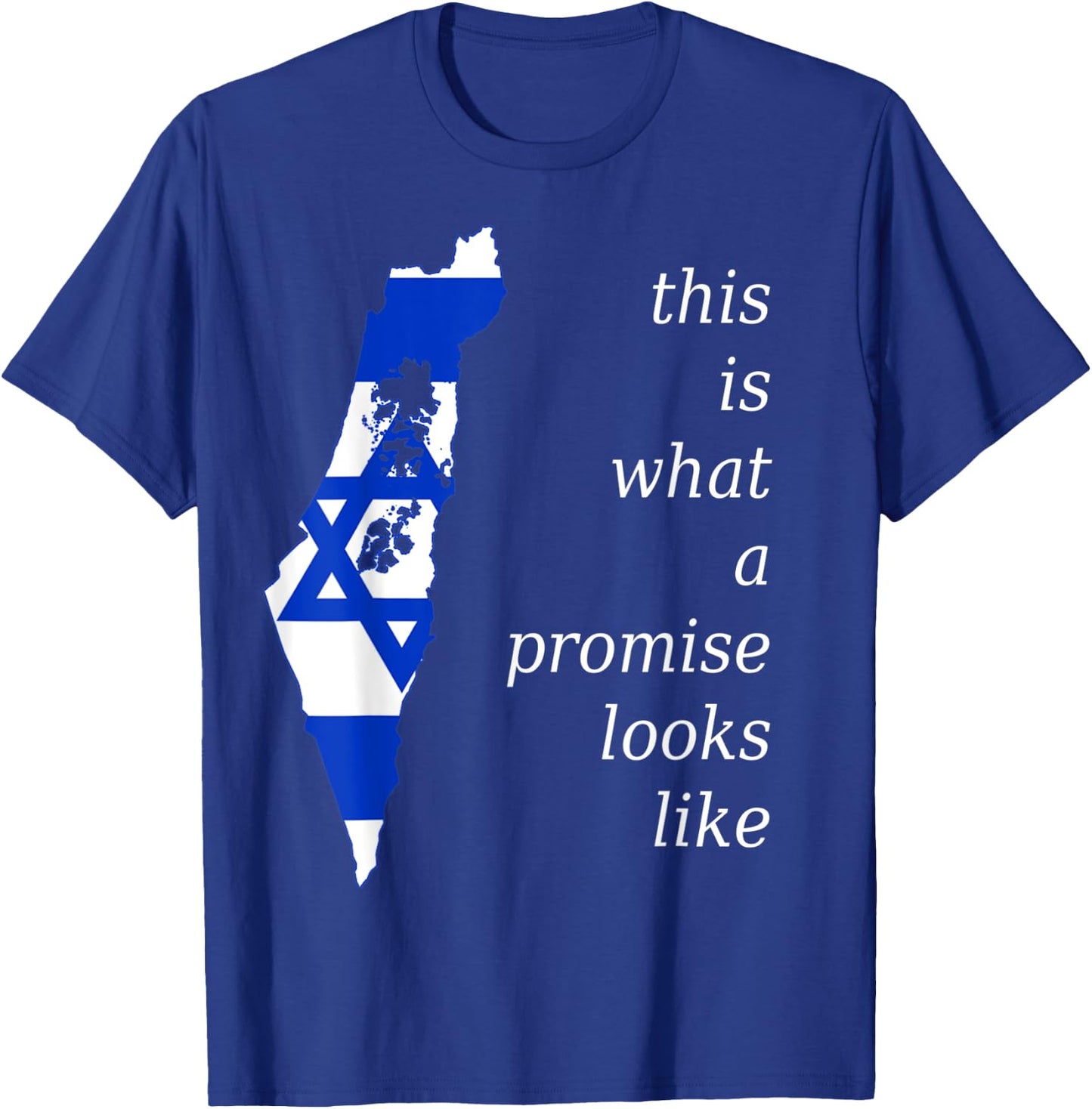 This is What a Promise Looks Like israel Jew Hebrew Jewish T-Shirt - T-Shirt | Royal