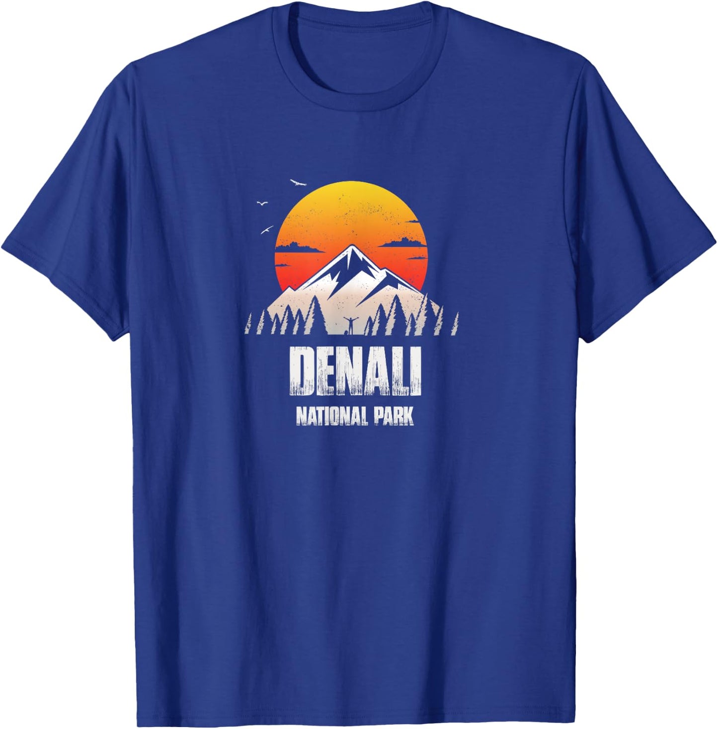 Denali Reminder - National Park Retro Souvenir T-Shirt - T-Shirt | Royal