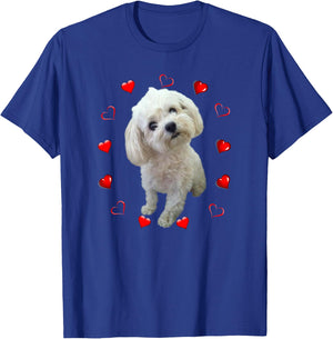 Maltese Dog Lover Puppy Owner Maltipoo Mix Fans Hearts T-Shirt - T-Shirt | Royal