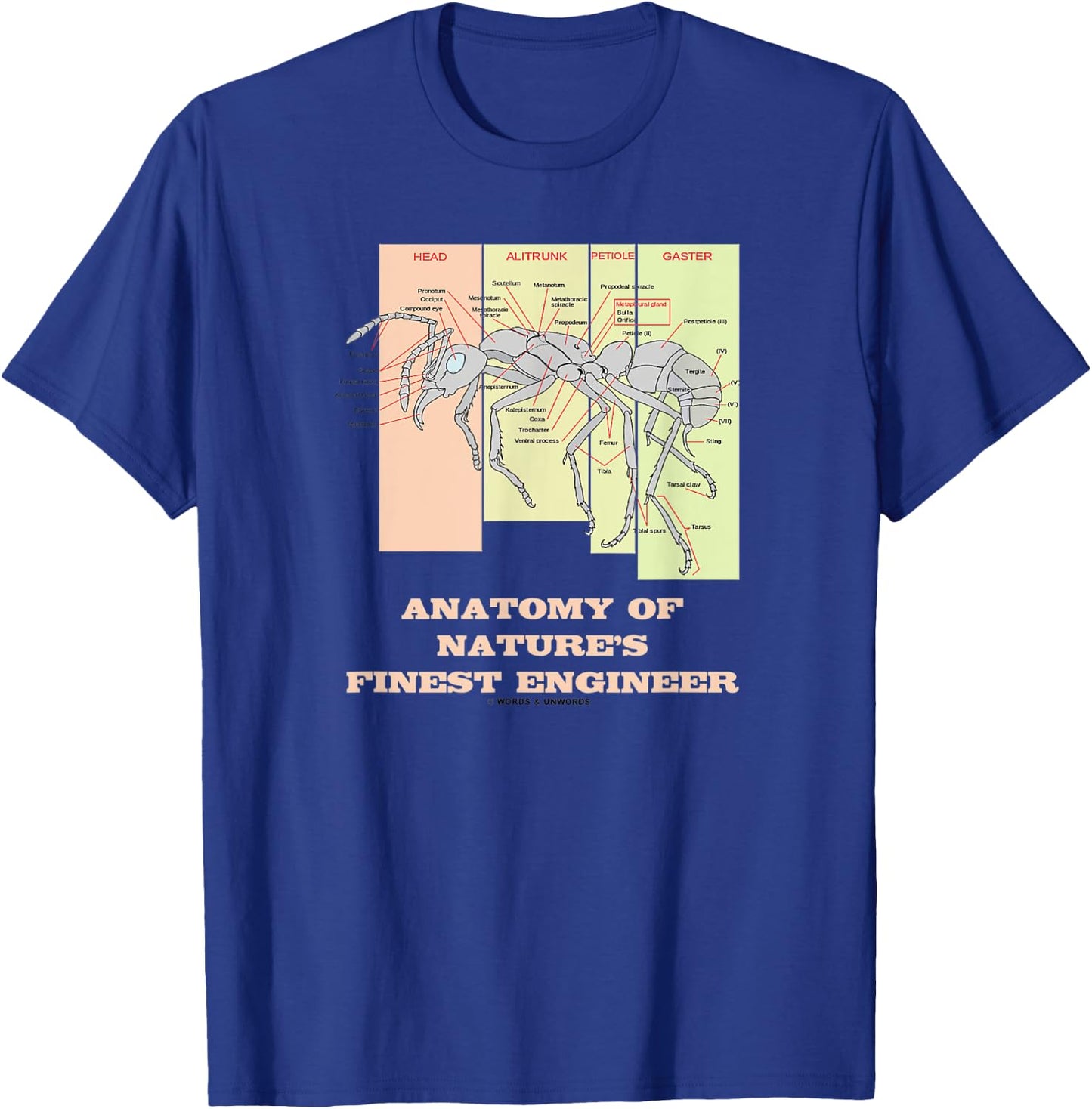 Anatomy Of Nature's Finest Engineer Worker Ant Anatomy T-Shirt - T-Shirt | Royal