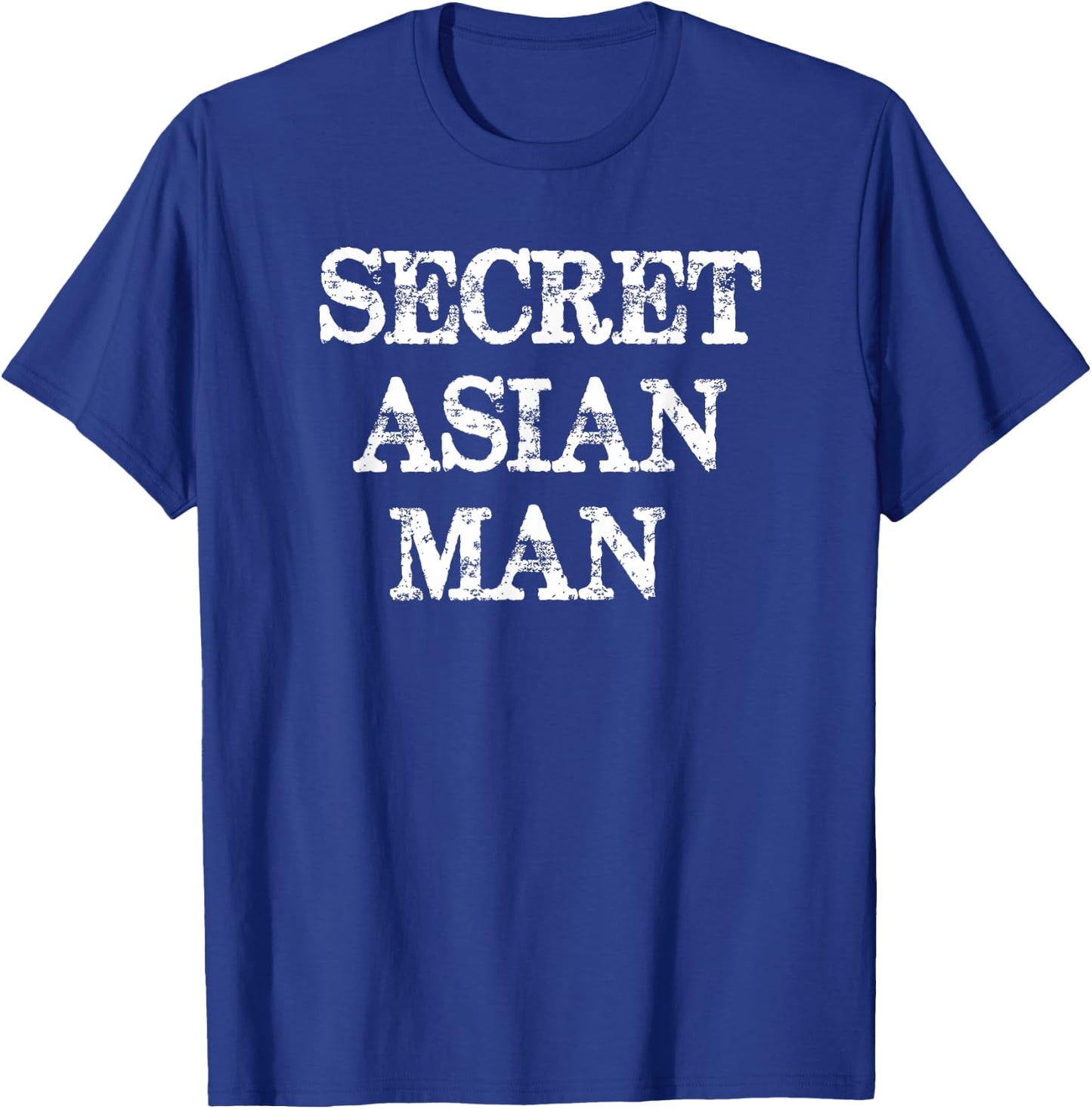 Secret Asian Man - Fun Wrong Song Lyrics T Shirt T-Shirt - T-Shirt | Royal