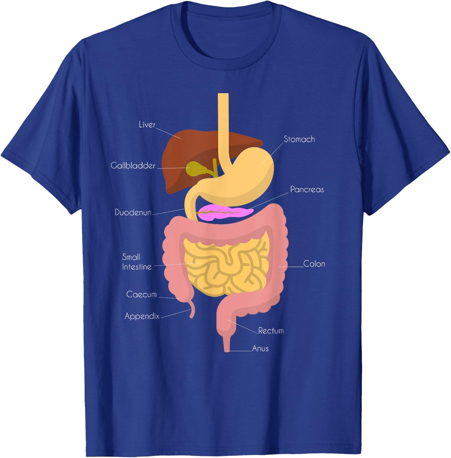 Digestive System T-Shirt - T-Shirt | Royal