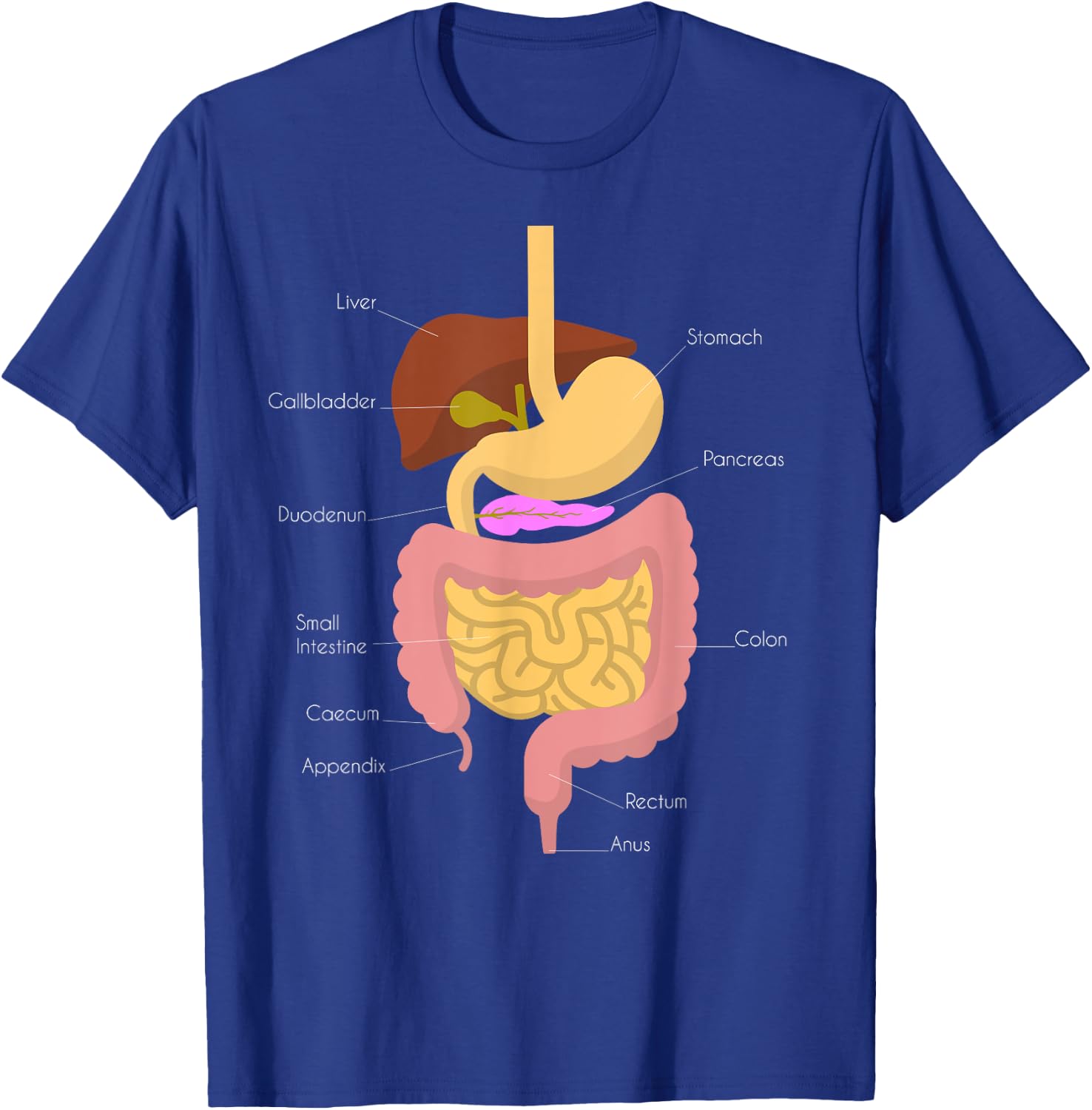 Digestive System T-Shirt - T-Shirt | Royal