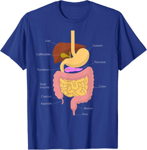 Digestive System T-Shirt - T-Shirt | Royal
