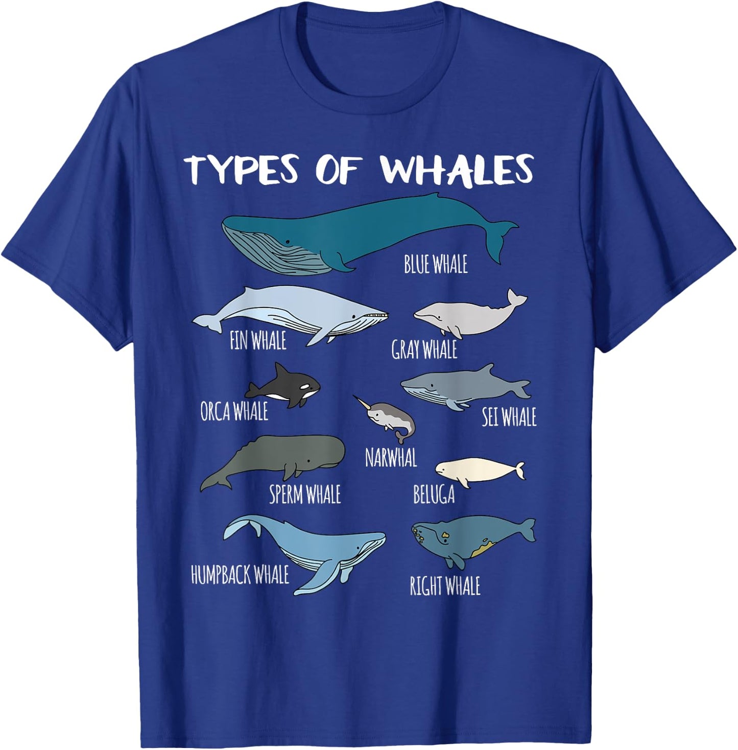 Types Of Whales Cute Ocean Mammals Guide T Shirt T-Shirt - T-Shirt | Royal