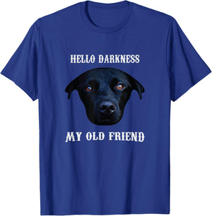 Hello Darkness My Old Friend T-Shirt - T-Shirt | Royal