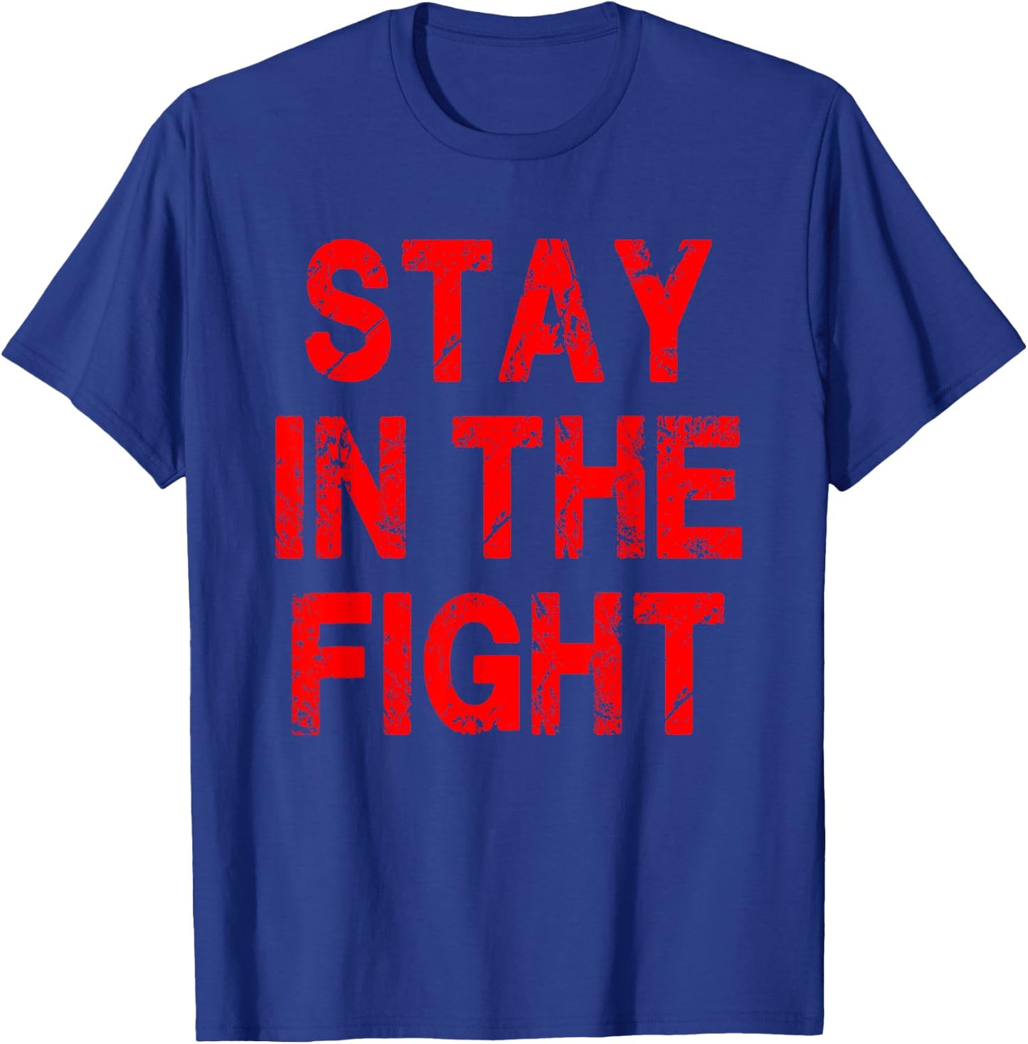Washington D.C. Baseball Fan Support Stay In The Fight T-Shirt - T-Shirt | Royal