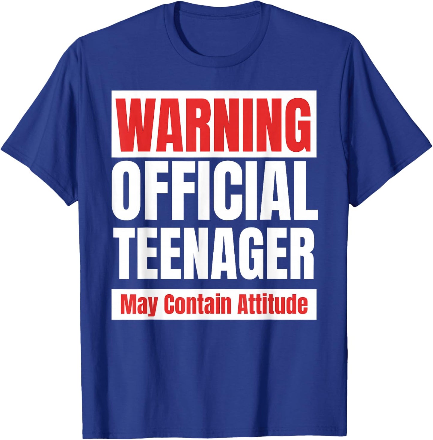 Official Teenager funny 13 birthday 13th T-Shirt - T-Shirt | Royal